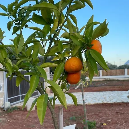 Katikies Savrani Perivolia (Theriso)